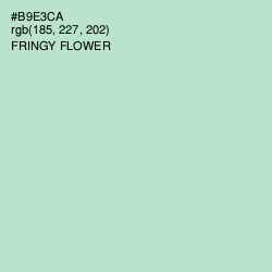 #B9E3CA - Fringy Flower Color Image